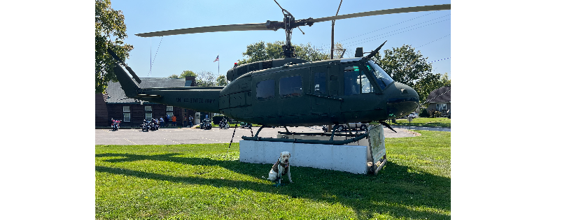Freedom Paws Service Dogs Foundation