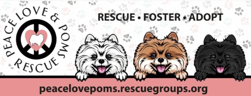 Peace Love and Poms Rescue