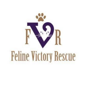 Feline Victory Rescue