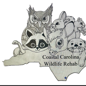 Coastal Carolina Wildlife Rehab Logo