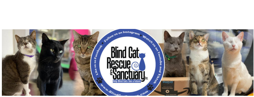 Blind Cat Rescue & Sanctuary