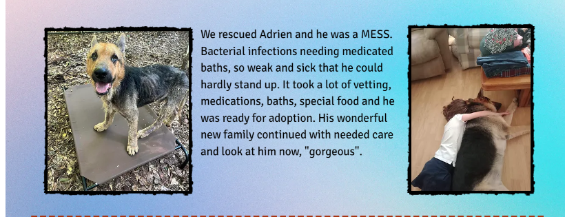 Leicas Saving Paws Rescue