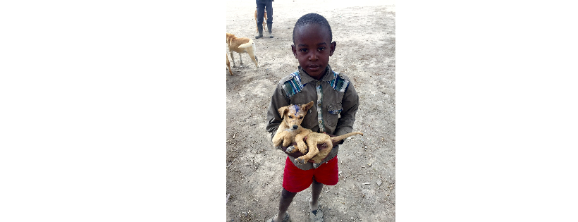 Vet Treks Foundation