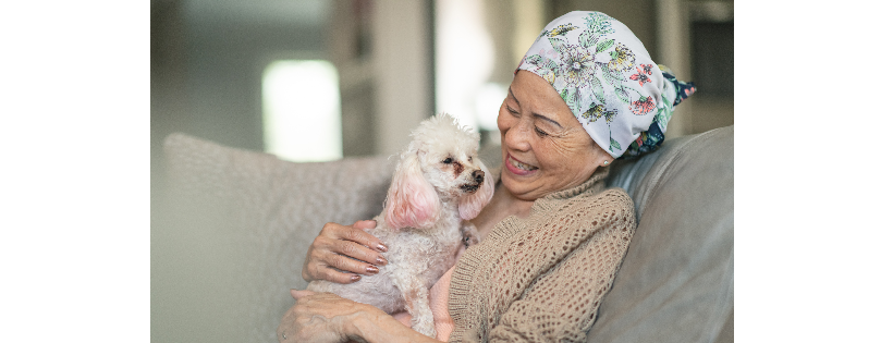 Pet Peace of Mind