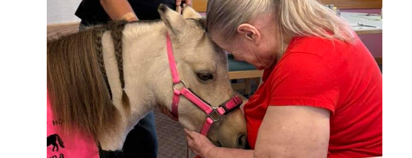 Kindhearted Mini Therapy