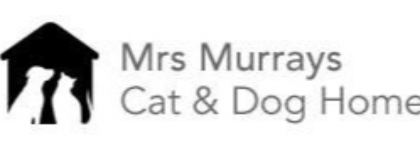 Mrs Murray's home for stray dogs and cats