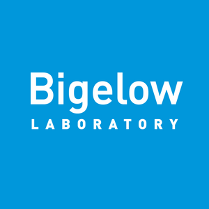Bigelow Laboratory for Ocean Sciences Logo