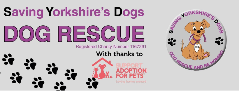 Saving Yorkshire’s Dogs