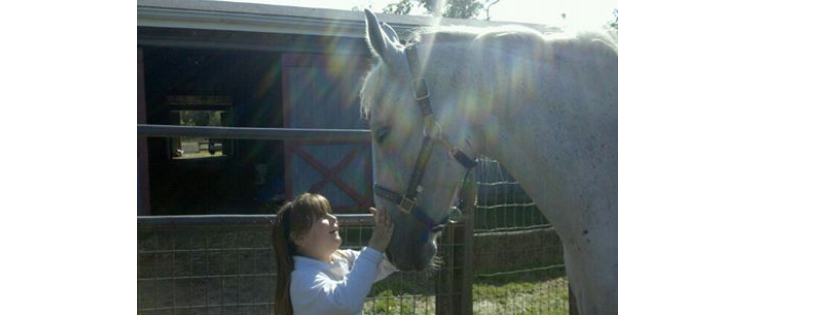 South Jersey All Breeds Horse Rescue