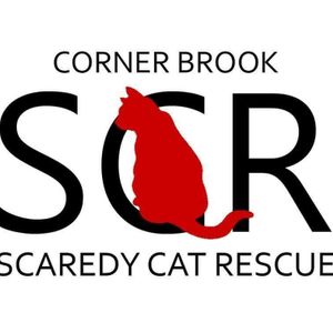 Corner Brook Scaredy Cat Rescue Logo