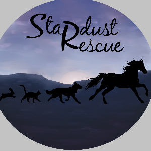 Stardust Rescue Logo
