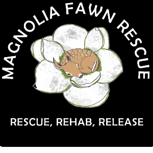 Magnolia Fawn Rescue Inc Logo