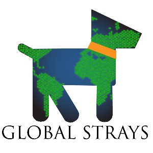 Global Strays
