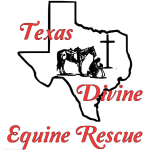 Texas Divine Equine Rescue  Logo