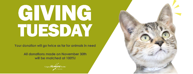 Calgary Humane Society