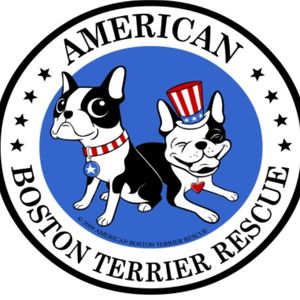 American Boston Terrier Rescue Logo