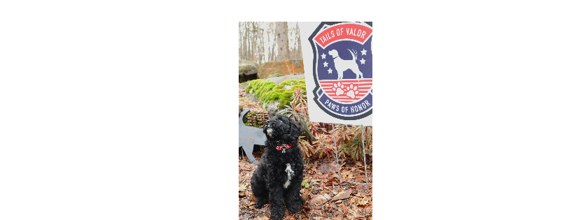 Tails of Valor Paws of Honor, Inc