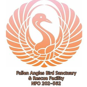 Fallen angels bird sanctuary and rescue facility NPO202-562 Logo