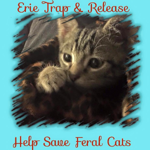 ERIE TRAP AND RELEASE INC Logo