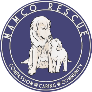 Moms and Mutts Colorado Rescue for Pregnant and Nursing Dogs Logo
