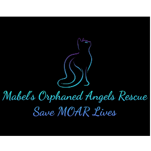 Mabels Orphaned Angels Rescue Logo