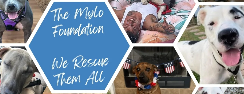 The Mylo Foundation