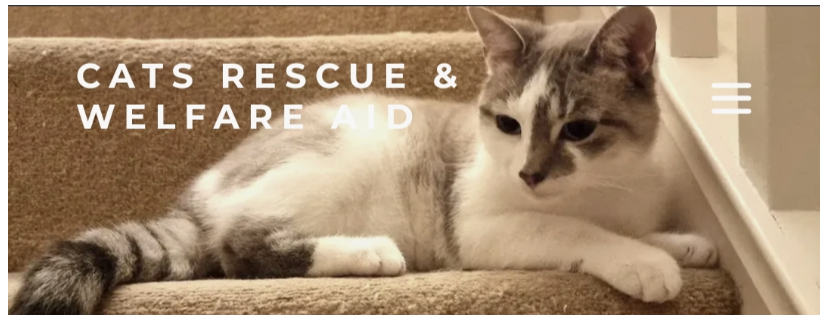 Cats Rescue & Welfare Aid