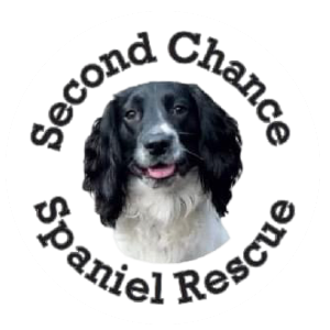 Second Chance Spaniel Rescue