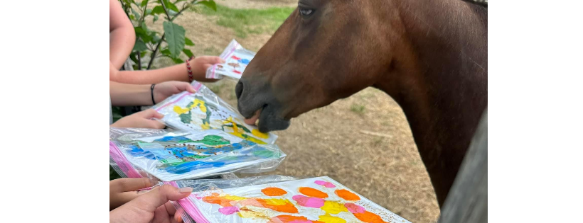 Peppermint Equine Project