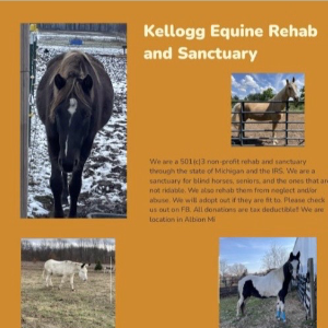Kellogg Equine rehab and sanctuary Logo