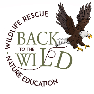 BACK TO THE WILD