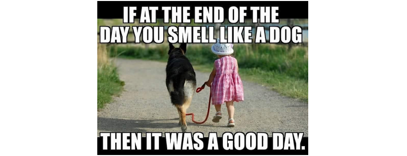 Mutt Rescue, Inc.