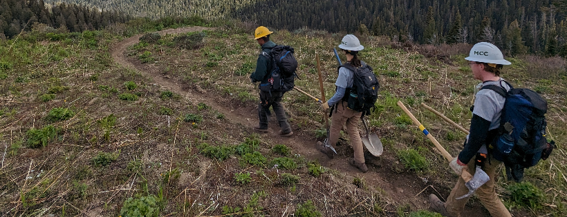 Friends of Pathways