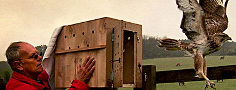 The Wildlife Aid Foundation