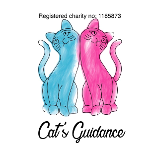 Cats Guidance Rescue, Hindley, Wigan