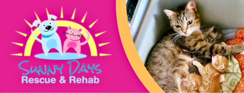 Sunny Days Rescue & Rehab