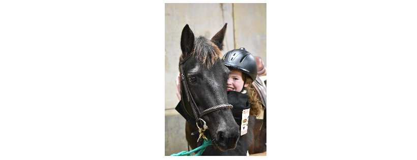New Hope Equine