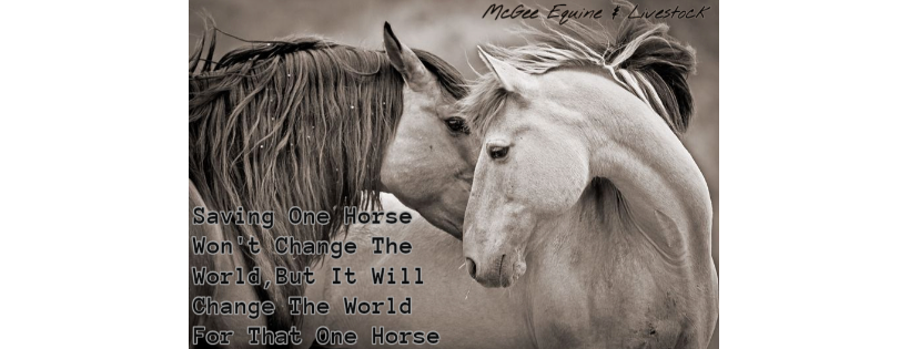 McGee Equine & Livestock Farrier Service, Rescue, and Rehabilitation