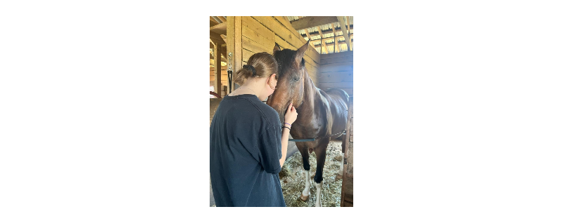 Healing Horse Therapy Center