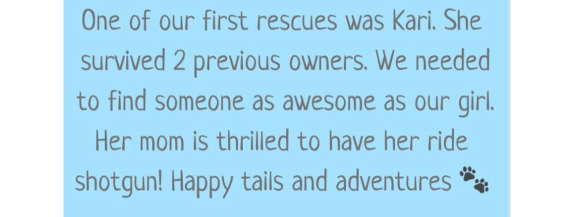Salty Dogs Senior Animal Rescue