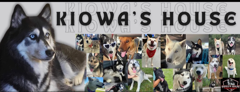Kiowas House Husky Rescue