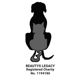 Beautys Legacy