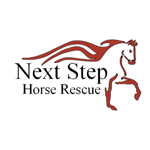 Next Step Horse Rescue Colorado