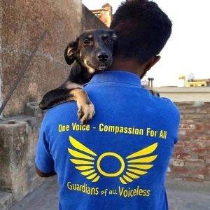 Guardians of all Voiceless Logo