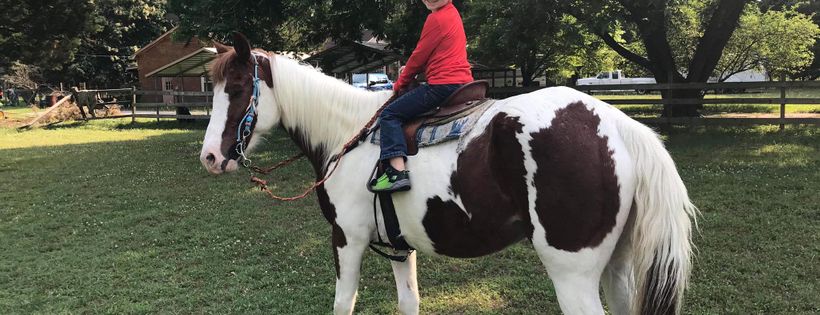 Circle A Home for Horses, Inc.