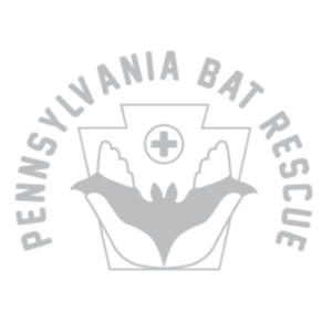 Pennsylvania Bat Rescue Logo