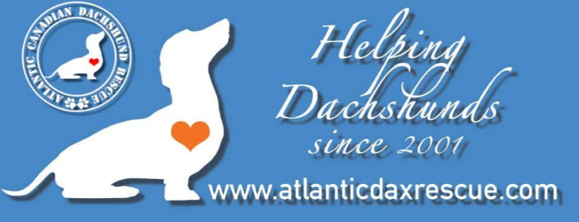 Atlantic Canadian Dachshund Rescue Society