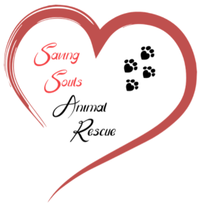 Saving Souls Animal rescue Logo