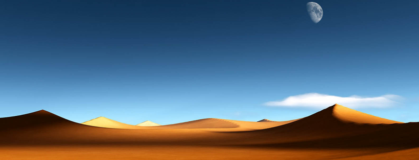 Delaware Desert Cats Inc