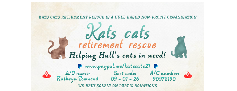 Kats cats retirement rescue